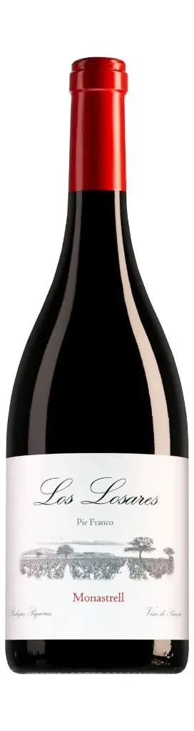 Bodegas Piqueras "Los Losares"