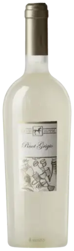 Ten. Ulisse Pin. Grigio Terre di Ch